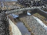 河原橋付近のカメラ画像