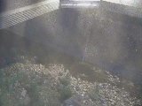 石橋付近のカメラ画像