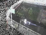 境川 昭和橋付近のカメラ画像