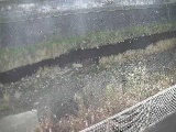 境川 幸延寺橋付近のカメラ画像