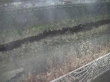 境川 幸延寺橋付近のカメラ画像