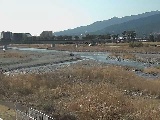 酒匂川 松田付近のカメラ画像