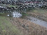 大泉河原橋付近のカメラ画像