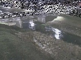 大泉河原橋付近のカメラ画像