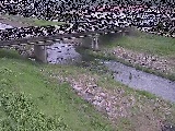 大泉河原橋付近のカメラ画像