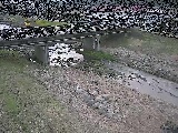 狩川 大泉河原橋付近のカメラ画像