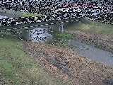 大泉河原橋付近のカメラ画像