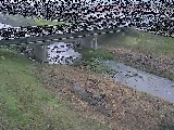 大泉河原橋付近のカメラ画像