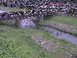 狩川 大泉河原橋付近のカメラ画像