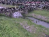 大泉河原橋付近のカメラ画像