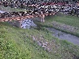 狩川 大泉河原橋付近のカメラ画像