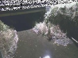 洞川 新下原橋付近のカメラ画像