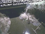 洞川 新下原橋付近のカメラ画像