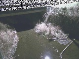 新下原橋付近のカメラ画像