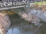 洞川 新下原橋付近のカメラ画像