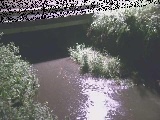 洞川 新下原橋付近のカメラ画像