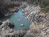 平山橋付近のカメラ画像