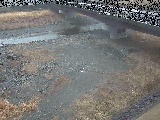 文久橋付近のカメラ画像