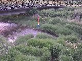尾崎橋付近のカメラ画像