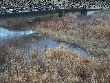 尾崎橋付近のカメラ画像