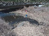 内川 尾崎橋付近のカメラ画像