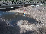 内川 尾崎橋付近のカメラ画像