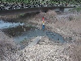 尾崎橋付近のカメラ画像