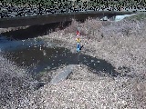 尾崎橋付近のカメラ画像