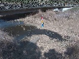 尾崎橋付近のカメラ画像