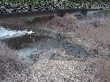 内川 尾崎橋付近のカメラ画像