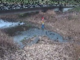 尾崎橋付近のカメラ画像