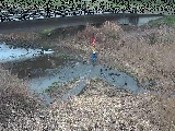 尾崎橋付近のカメラ画像
