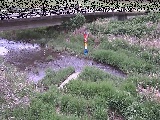 尾崎橋付近のカメラ画像
