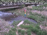 尾崎橋付近のカメラ画像
