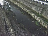 藤沢川 暁橋付近のカメラ画像