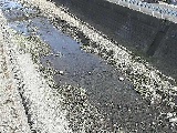 藤沢川 暁橋付近のカメラ画像