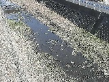 暁橋付近のカメラ画像