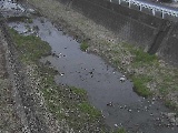 藤沢川 暁橋付近のカメラ画像