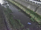 藤沢川 暁橋付近のカメラ画像