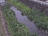 藤沢川 暁橋付近のカメラ画像