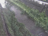藤沢川 暁橋付近のカメラ画像