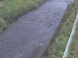 水上橋付近のカメラ画像