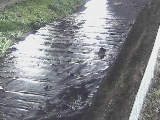 尺里川 水上橋付近のカメラ画像