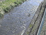 尺里川 水上橋付近のカメラ画像