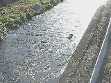 尺里川 水上橋付近のカメラ画像