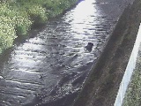 尺里川 水上橋付近のカメラ画像