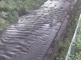 尺里川 水上橋付近のカメラ画像