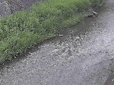 堀割橋付近のカメラ画像