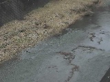 堀割橋付近のカメラ画像