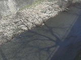 皆瀬川 堀割橋付近のカメラ画像